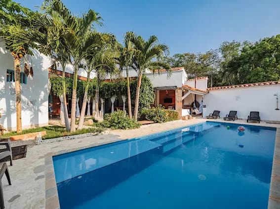 Piscina con palmeras y tumbonas